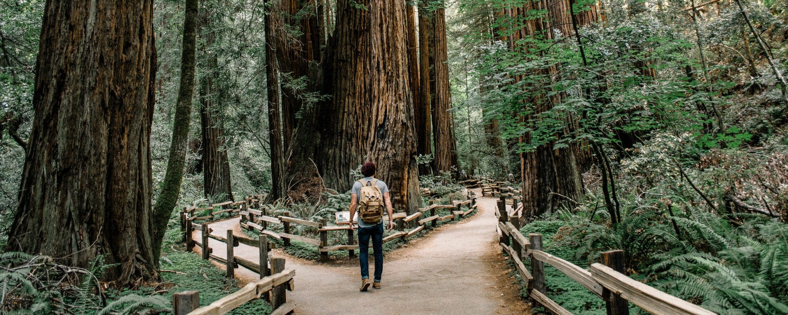 Why Counselling “Detours” Can Be Beneficial Image