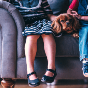 Photo of two children sitting on couch petting a dog for Mental Health Concerns in Children and Youth Workshop