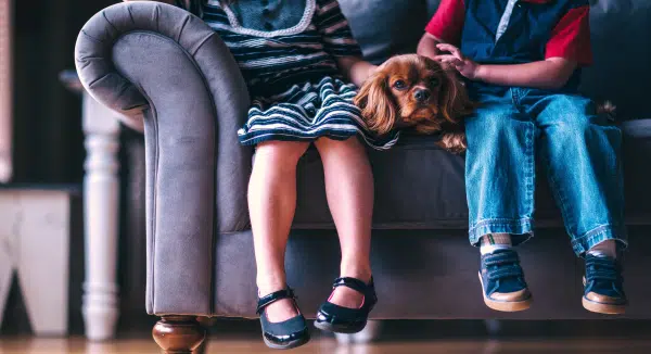 Certificate Program in Responding to Children and Youth Issues