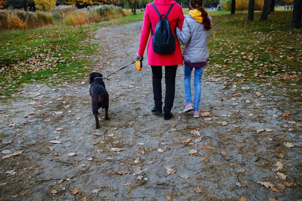 Thoughts on Counselling Parent and Teen Relationships Image