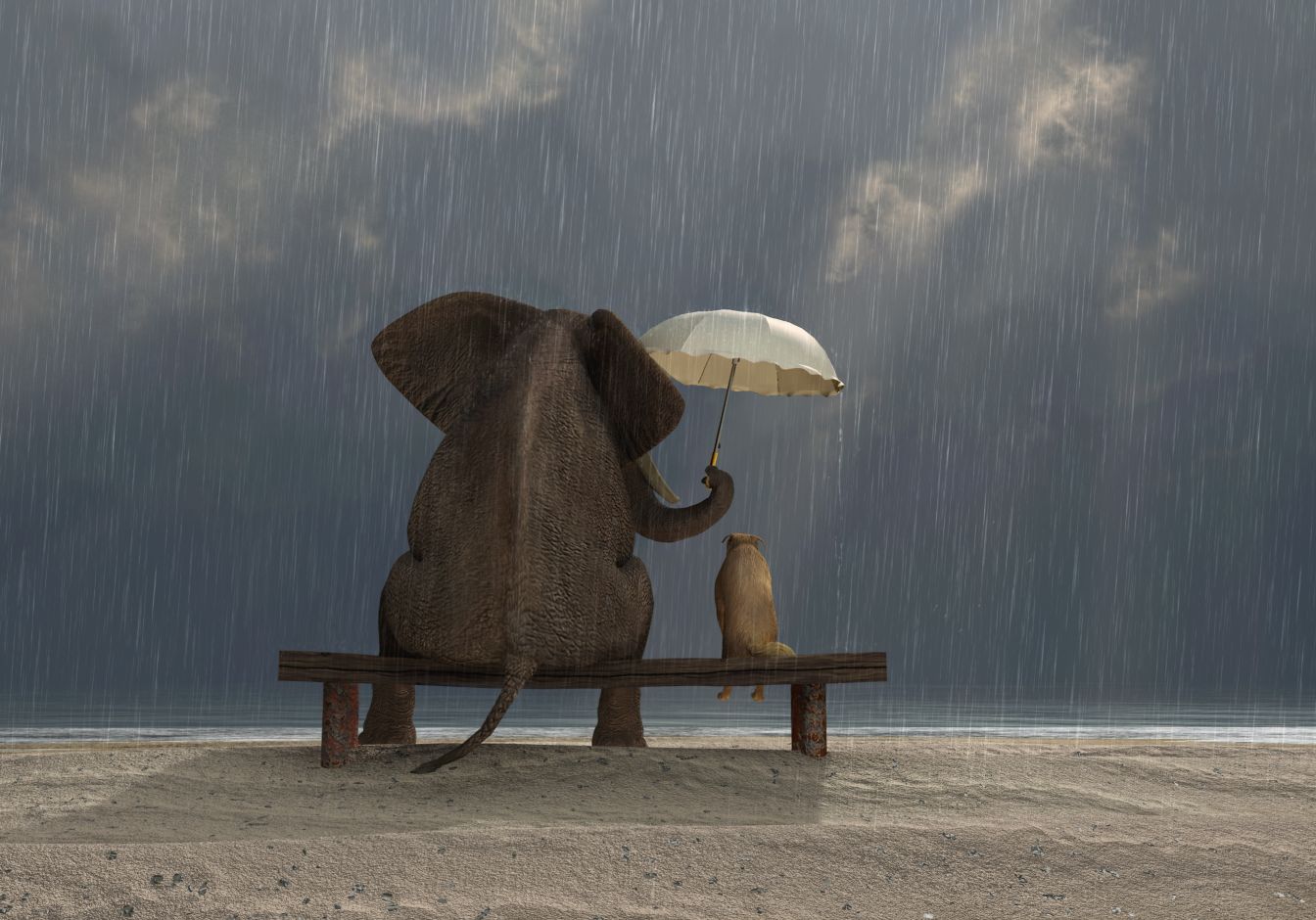 Getting the Helping Relationship Right Image