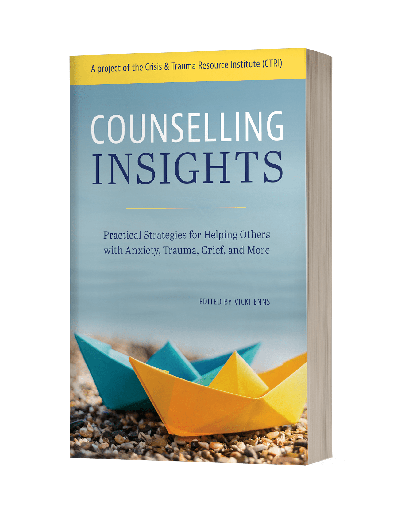 Counselling Insights Book Cover