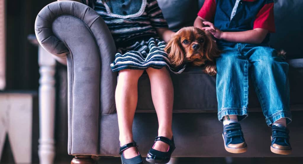 Photo of the legs of two children sitting on couch with dog between them